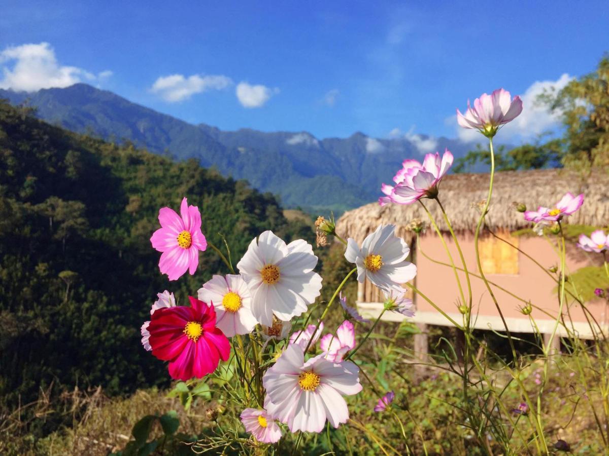 Chapa Farmstay - Mountain Retreat Сапа Екстериор снимка