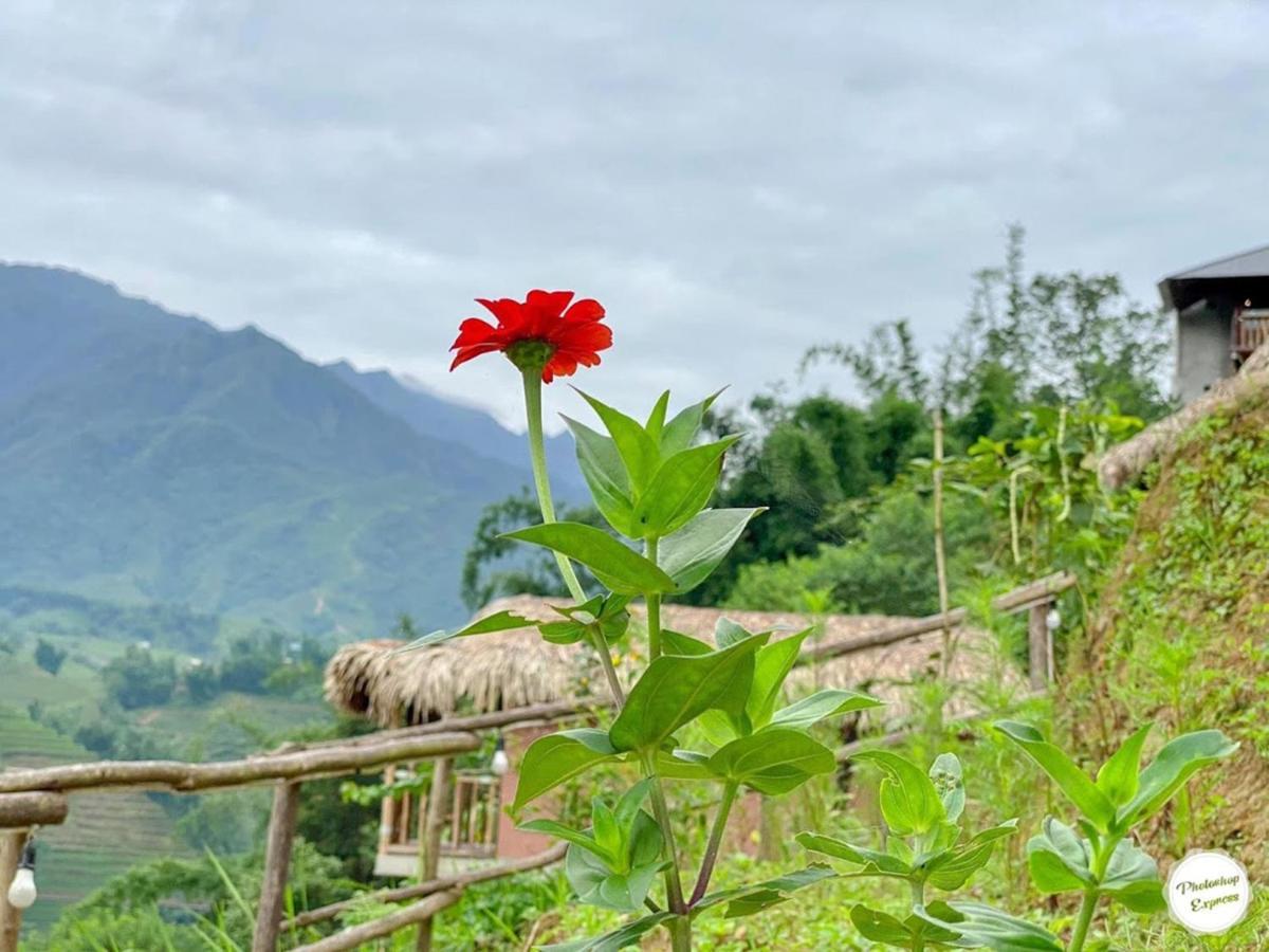 Chapa Farmstay - Mountain Retreat Сапа Екстериор снимка
