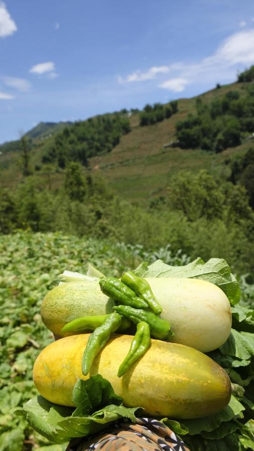 Chapa Farmstay - Mountain Retreat Сапа Екстериор снимка